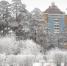 В Улан-Удэ учащиеся второй смены идут в школу - ИА Байкал-Daily