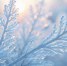image - GazetaRB.Ru