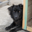 image - GazetaRB.Ru