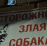 Сельчан в Бурятии одолели бродячие псины - ИА Байкал-Daily