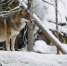 image - GazetaRB.Ru