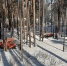 Городские леса Улан-Удэ готовятся к пожароопасному периоду 2026 года - ГТРК Бурятия