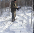 image - GazetaRB.Ru