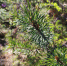image - GazetaRB.Ru