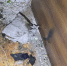 image - GazetaRB.Ru