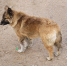 image - GazetaRB.Ru