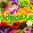названия - БГУ