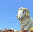 image - GazetaRB.Ru