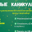 Креативные каникулы для школьников: отдых с пользой и вдохновением! - ВСГИК