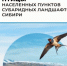 IMG_20260315_085041 - БГУ