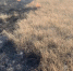 image - GazetaRB.Ru