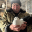 Пенсионер из Бурятии пытается сохранить уникальных голубей - Газета Номер один