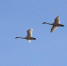 image - GazetaRB.Ru