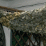image - GazetaRB.Ru