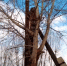 image - GazetaRB.Ru