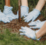 image - GazetaRB.Ru