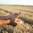 image - GazetaRB.Ru