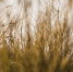 image - GazetaRB.Ru
