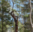 image - GazetaRB.Ru