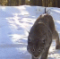 image - GazetaRB.Ru