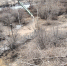 image - GazetaRB.Ru