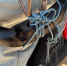 image - GazetaRB.Ru