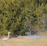 image - GazetaRB.Ru