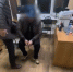 В Бурятии три дельца увели 19 млн рублей при транспортировке отходов - Газета Номер один