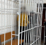 В Бурятии заключили под стражу организаторов тура, в котором погибли люди - ИА Байкал-Daily