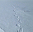 image - GazetaRB.Ru