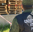 Трое жителей Бурятии избили до смерти мужчину во дворе дома - ИА Байкал-Daily