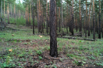Забайкалье под замком