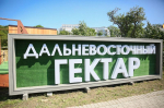 Более 4,6 тысячи жителей Бурятии получили «дальневосточный гектар» с начала действия программы