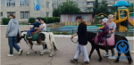 Иппотерапия для самых маленьких