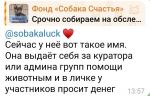 В Бурятии мошенница прикинулась «Собакой счастья»