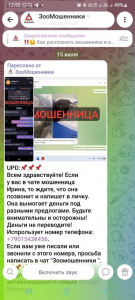 В Бурятии мошенница прикинулась «Собакой счастья»