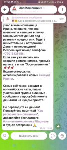 В Бурятии мошенница прикинулась «Собакой счастья»