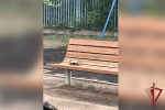 Обследованный взрывотехниками ОМОН Росгвардии подозрительный предмет оказался игрушкой