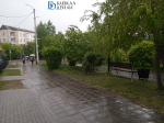 В Улан-Удэ «Горзеленстрой» отработал более 60 заявок